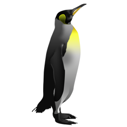 King Penguin