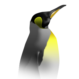 king penguin